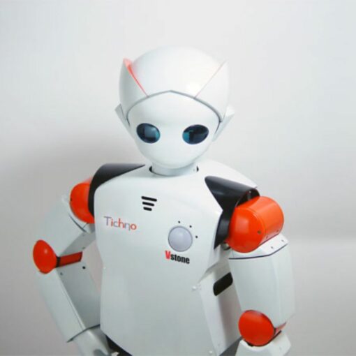 Robot humanoïde bipède modules personnalisable Tichno VStone