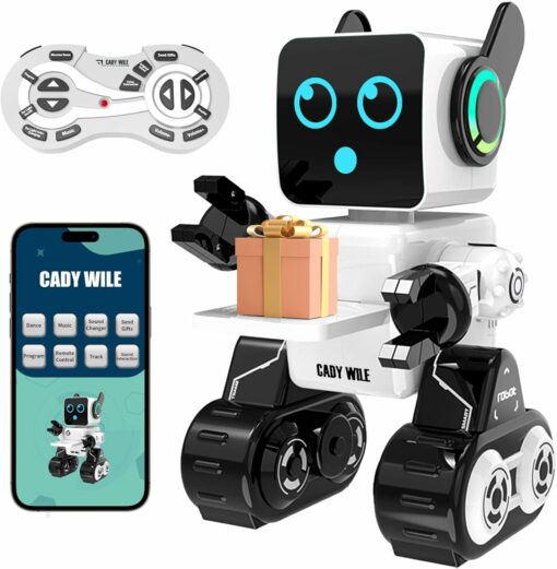 Robot Jouet Éducatif Programmable Application et Télécommande Anysun