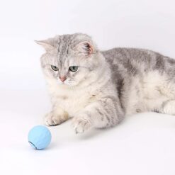 Robot jouet divertissement boule chat Power Ball 2.0 Wloom