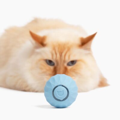 Robot jouet divertissement boule chat Power Ball 2.0 Wloom