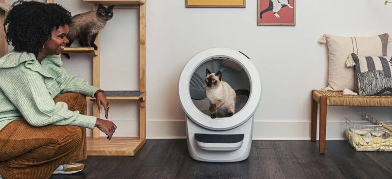 Robot Litière Chat automatique auto-nettoyante Blanche Noir Litter-Robot 4 Whisker