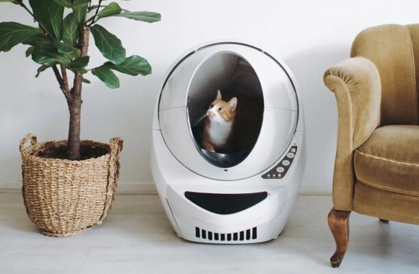 Robot litière chat autonettoyante hygiénique sans odeur Litter-Robot 3 Whisker