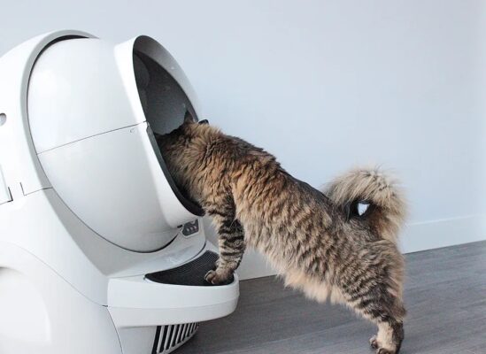 Robot litière chat autonettoyante hygiénique sans odeur Litter-Robot 3 Whisker