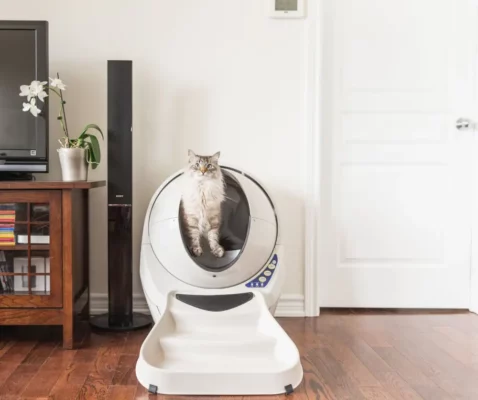 Robot litière chat autonettoyante hygiénique sans odeurs Litter-Robot 3 Whisker